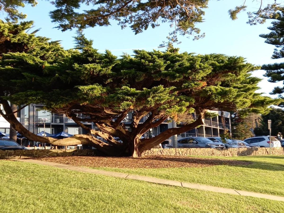 Apartments In Phillip Island Towers - Block C Cowes Exterior foto